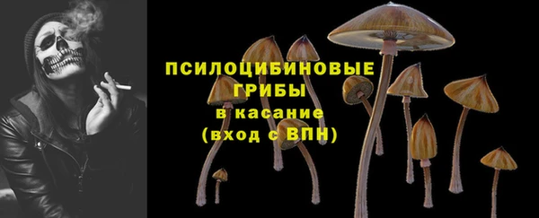 скорость Белокуриха