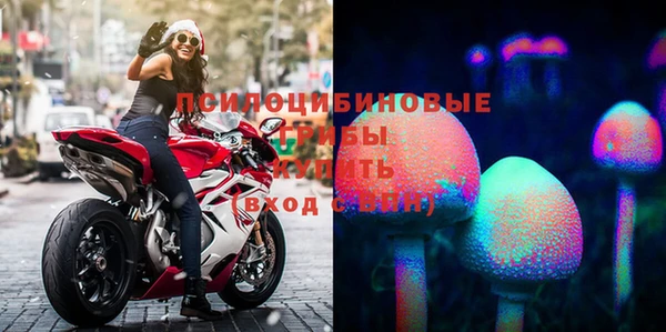 скорость Белокуриха