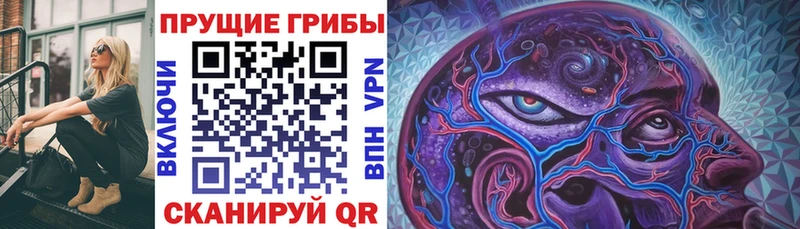 Псилоцибиновые грибы ЛСД  купить   Кунгур 